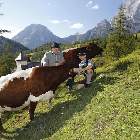 Brandhof - Am Berg * Ramsau am Dachstein