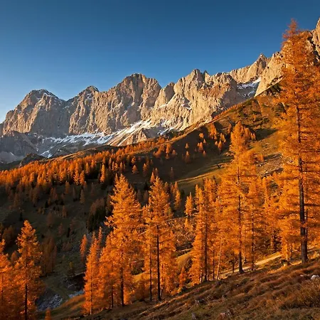 Alpesi faház Brandhof - Am Berg Ramsau am Dachstein