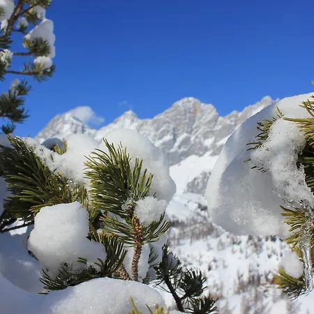 Alpesi faház Brandhof - Am Berg *