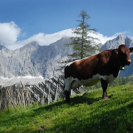 Brandhof - Am Berg شاليه *