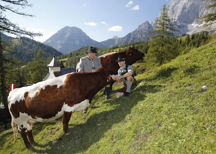 Brandhof - Am Berg * Рамзау
