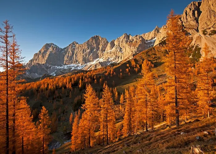 Alpehytte Brandhof - Am Berg Ramsau am Dachstein
