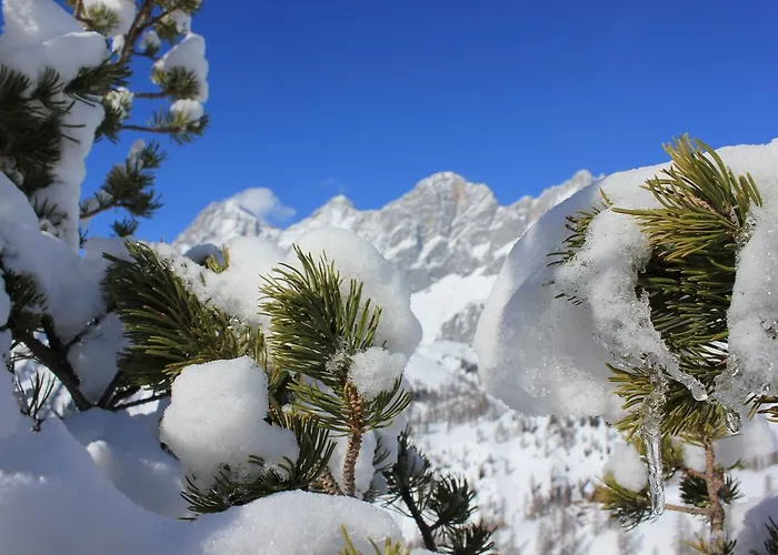 Alpehytte Brandhof - Am Berg *