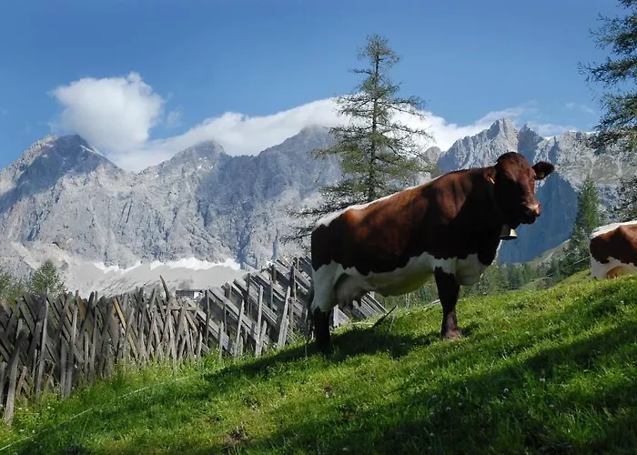 Brandhof - Am Berg Alpehytte *